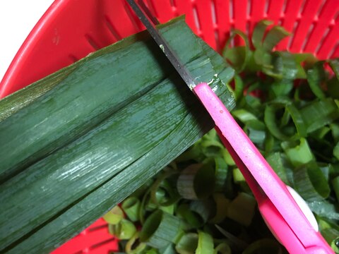 キッチンバサミでネギのみじん切り